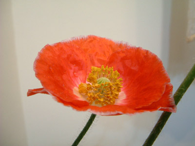 IMG_000591.jpg ( 38 KB ) by Upload