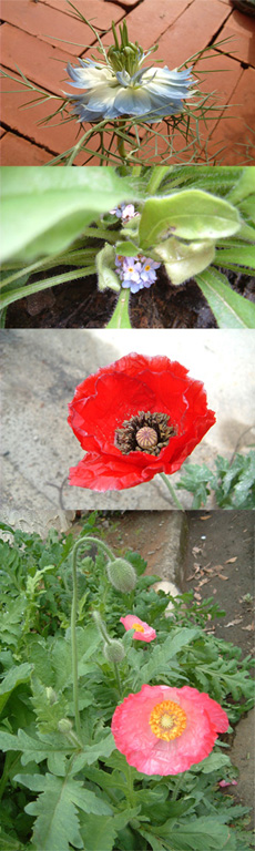 IMG_000613.jpg ( 125 KB ) by Upload