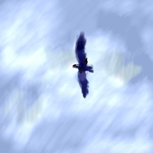 IMG_000645.png ( 67 KB ) by PaintBBS
