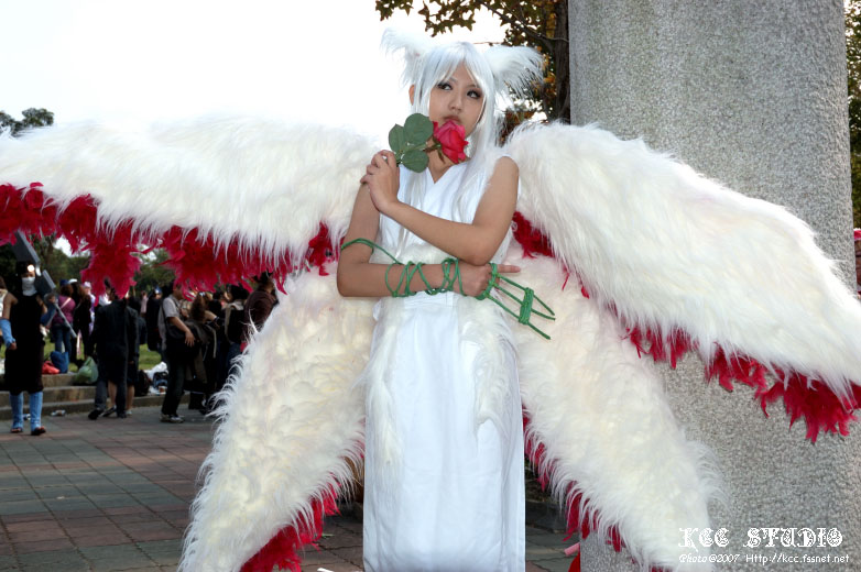 IMG_000002.jpg ( 1 KB ) by Upload